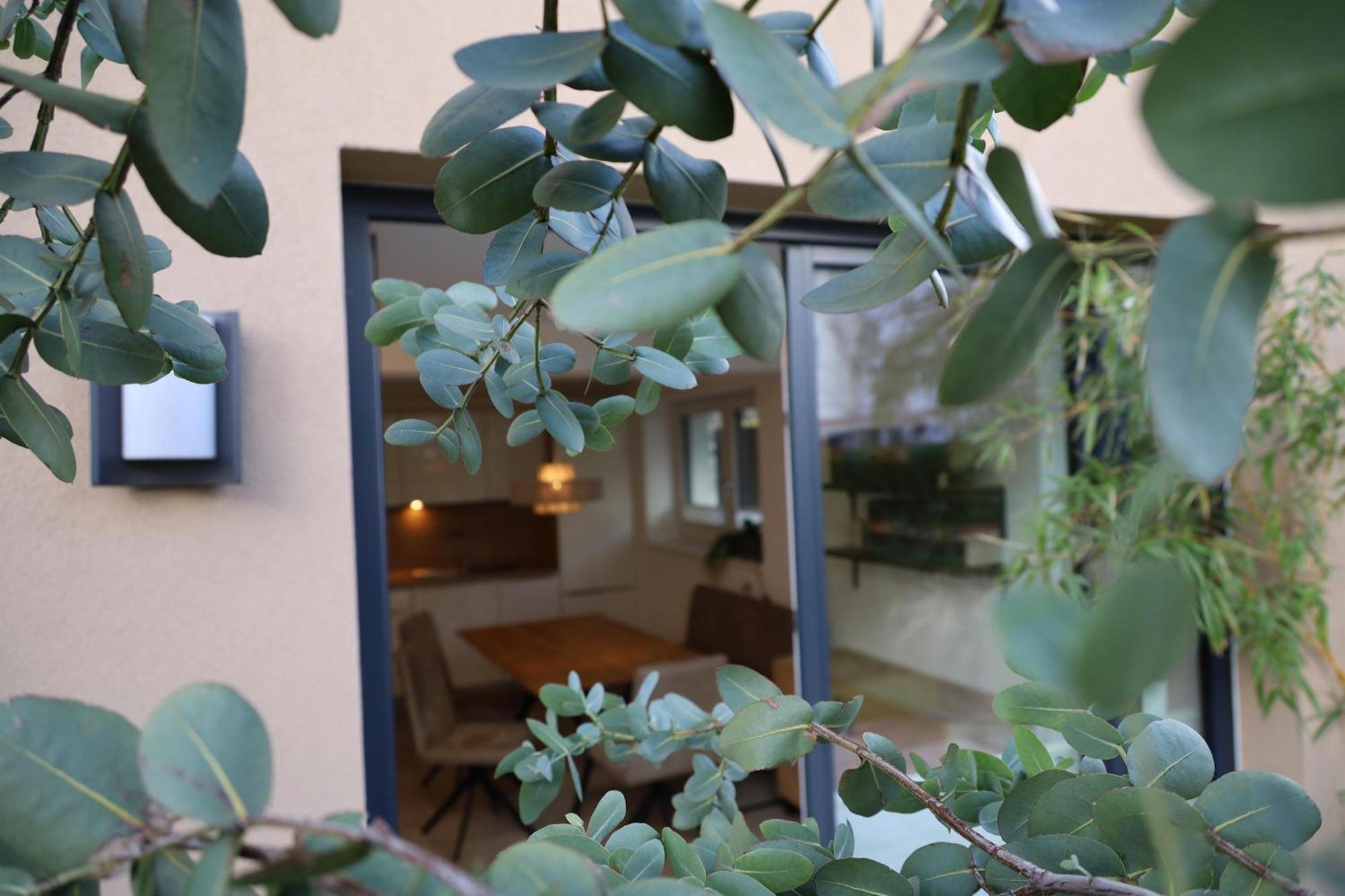 Familiengarten Apartment